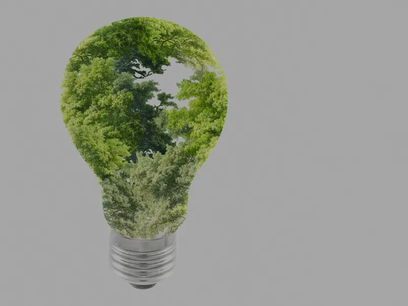 Sustainability Focused